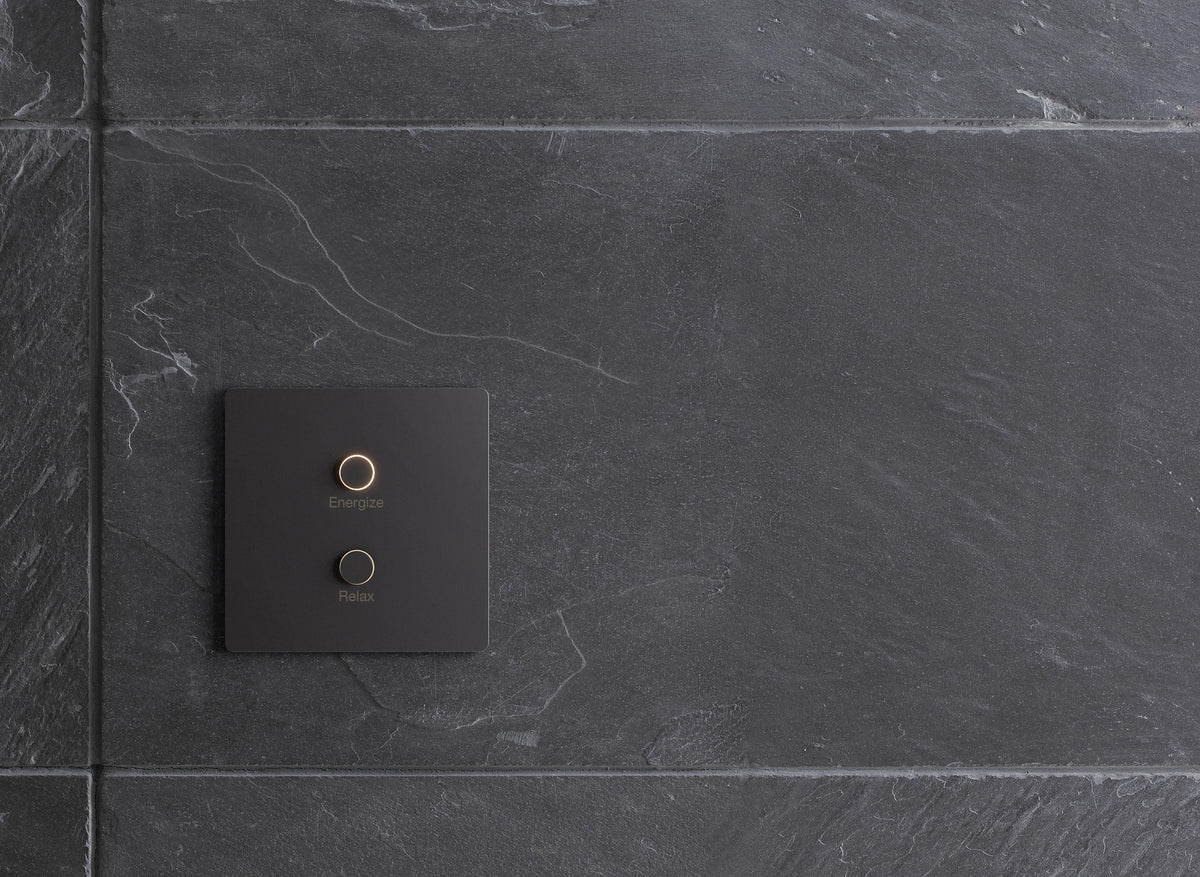 A modern matte black Lutron dual-button wall switch plate with gold accents, mounted on a dark gray slate tile wall.