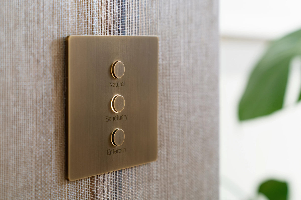 A square Lutron Alisse wall plate in Aged Brass with three round buttons labeled Natural, Secondary, and Entertainment, mounted on a textured beige wall covering with a blurred green plant in the background.